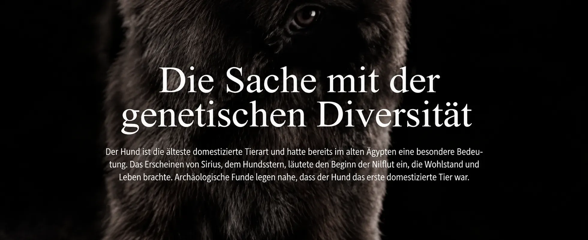 Genetische Diversität -1
